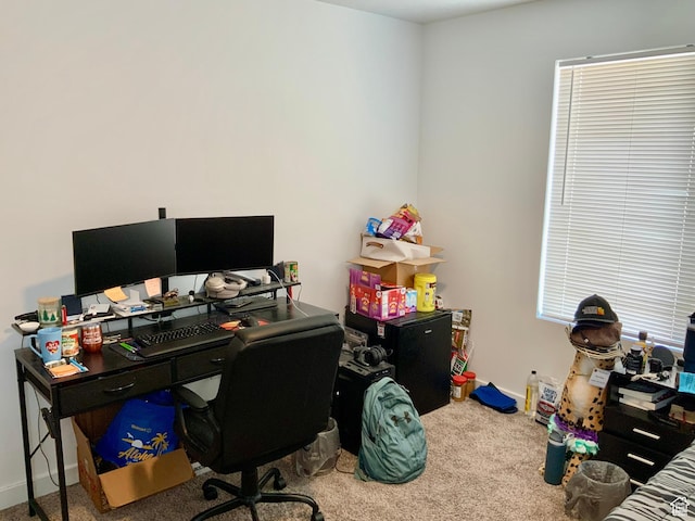 2953 W Ezra Dr, Cedar City, UT 84720 - view of carpeted office