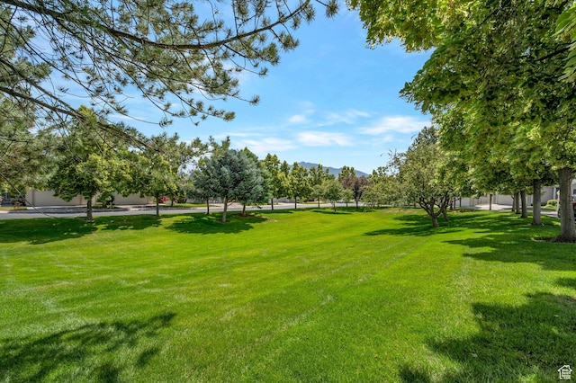 10056 S Remembrance Ln, South Jordan, UT 84095 - view of home's community featuring a yard and a mountain view