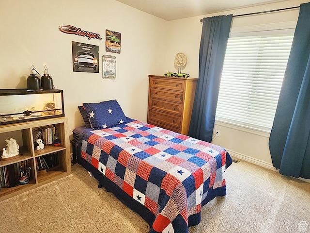 1365 N Highland Blvd, Brigham City, UT 84302 - bedroom featuring carpet floors and multiple windows