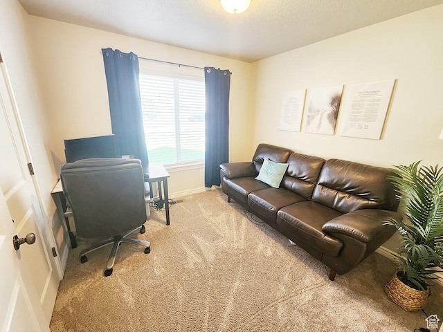1365 N Highland Blvd, Brigham City, UT 84302 - office space featuring carpet floors and baseboards