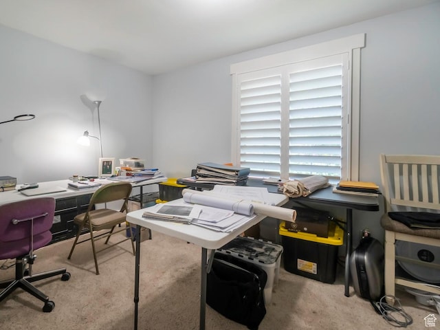 2970 S Mock Orange Dr W, West Valley City, UT 84119 - office area featuring carpet floors