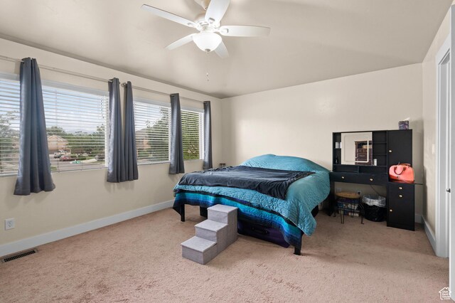 189 S Tamarak Cir, Lehi, UT 84043 - photo 23