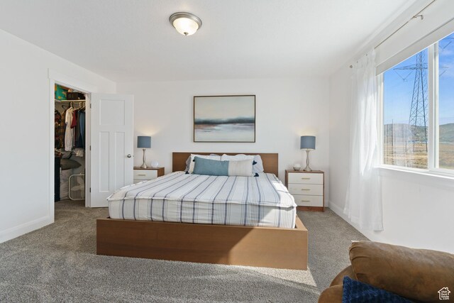 4082 N Poplar Dr, Eagle Mountain, UT 84005 - carpeted bedroom with a spacious closet and a closet