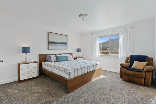 4082 N Poplar Dr, Eagle Mountain, UT 84005 - carpeted bedroom with baseboards
