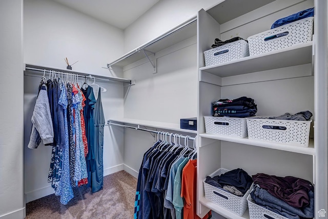 56 N Rue De Matth W, Vineyard, UT 84058 - spacious closet featuring carpet flooring