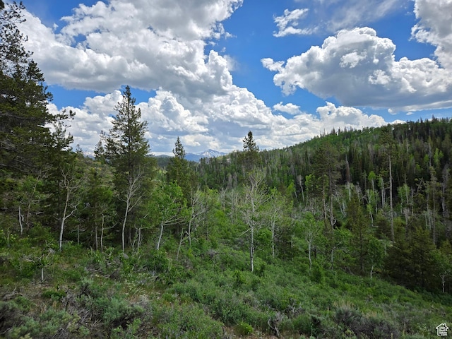 4406 Foothill Dr, Kamas, UT 84036