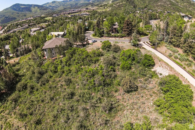 1974 Kidd Cir Unit 21, Park City, UT 84098