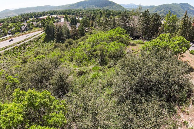 1974 Kidd Cir Unit 21, Park City, UT 84098