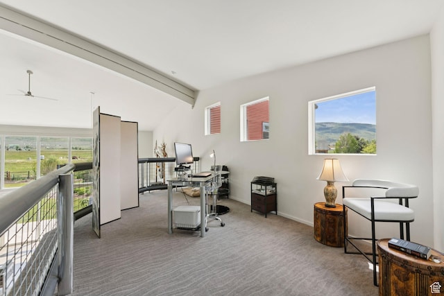 3530 N State Road 32, Marion, UT 84036 - office with carpet flooring and a ceiling fan