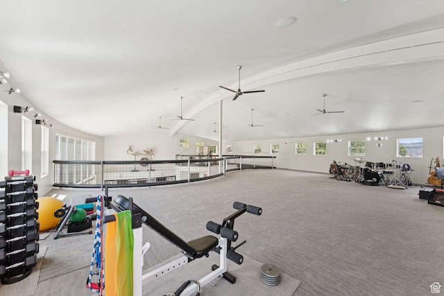 3530 N State Road 32, Marion, UT 84036 - gym with healthy amount of natural light, a ceiling fan, and carpet floors