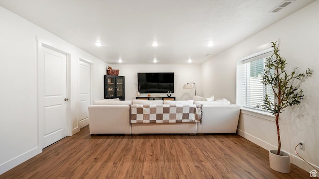 950 N 90 W, Santaquin, UT 84655 - living room with wood finished floors and recessed lighting