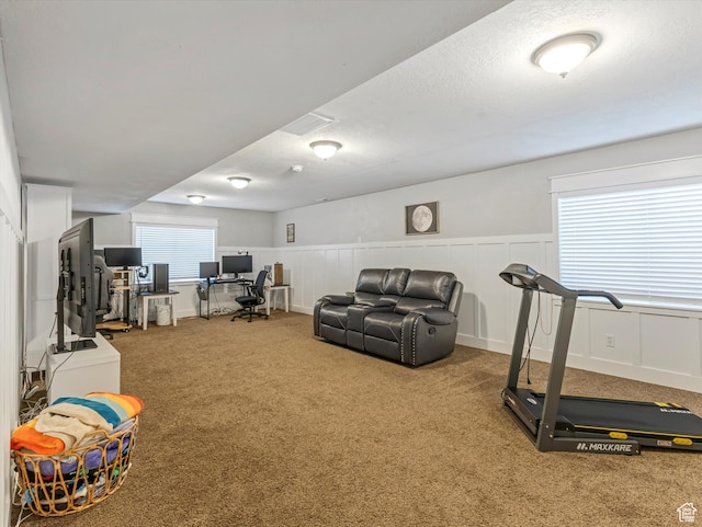 2419 E Hitching Post Dr N, Eagle Mountain, UT 84005 - workout area featuring carpet, wainscoting, and a decorative wall