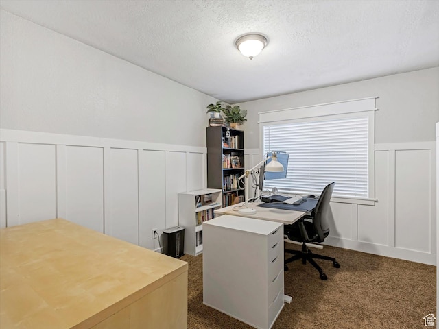 2419 E Hitching Post Dr N, Eagle Mountain, UT 84005 - home office with a decorative wall, a textured ceiling, wainscoting, and dark carpet