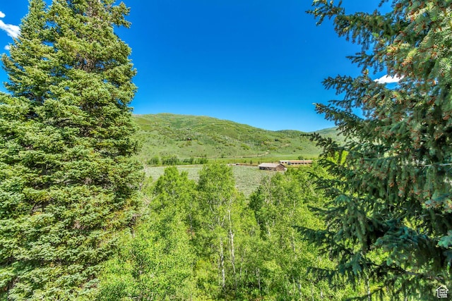 4601 Conifer Dr, Oakley, UT 84055 - view of mountain backdrop