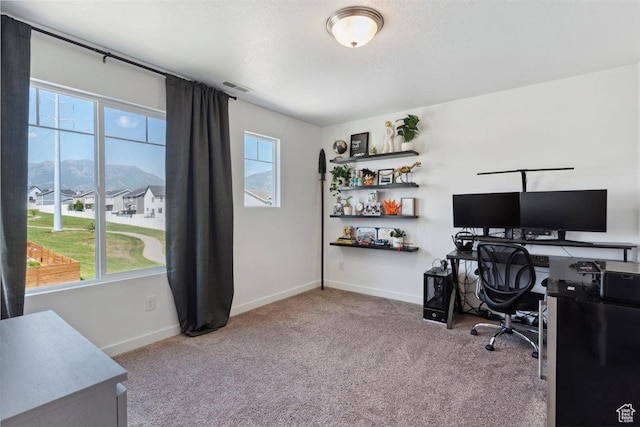 1010 E Bigelow Ave, Layton, UT 84040 - carpeted office featuring plenty of natural light and a mountain view