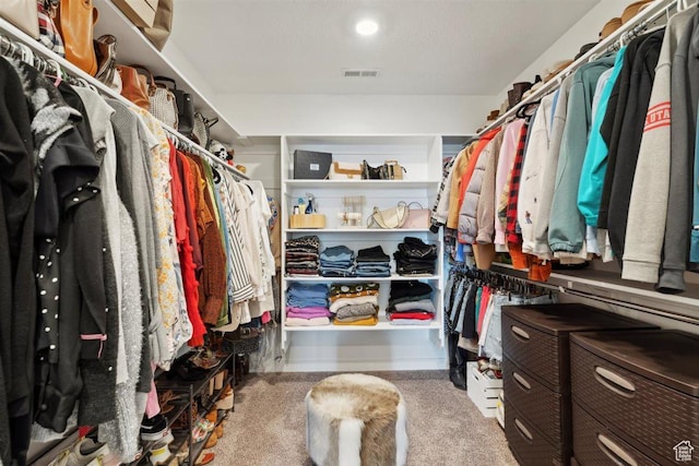 1010 E Bigelow Ave, Layton, UT 84040 - spacious closet with carpet