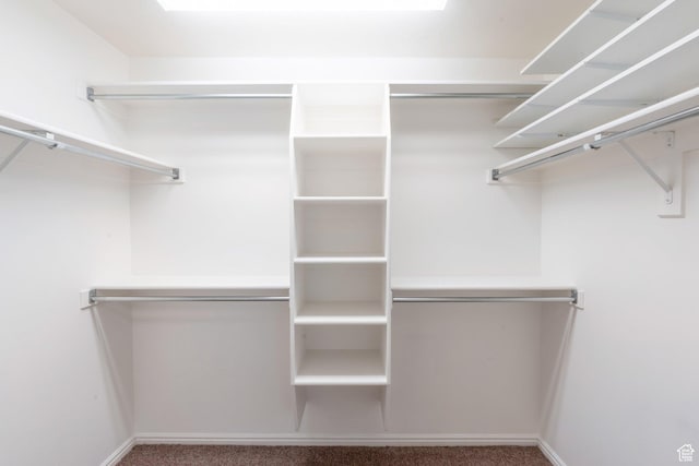 1028 E 140 N, Lindon, UT 84042 - walk in closet featuring carpet floors