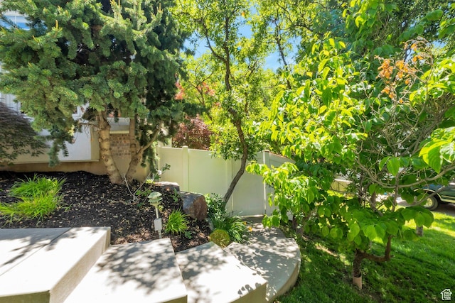 1028 E 140 N, Lindon, UT 84042 - view of yard