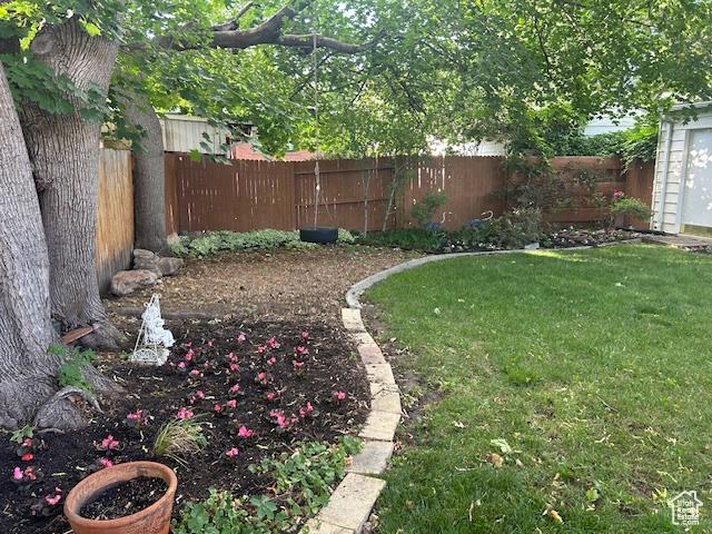 1567 E Westminster Ave, Salt Lake City, UT 84105 - view of yard