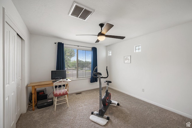 1051 W Castleton Dr, North Salt Lake, UT 84054 - workout area featuring carpet and ceiling fan