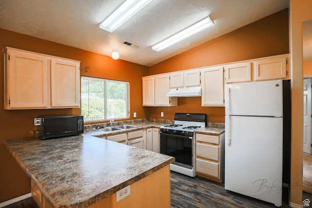 562 S 400 E, Ivins, UT 84738 - kitchen with white appliances, under cabinet range hood, vaulted ceiling, dark wood-style flooring, and a peninsula