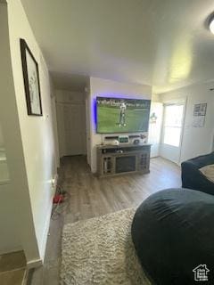 856 N 600 E, Lehi, UT 84043 - living area with light wood-type flooring