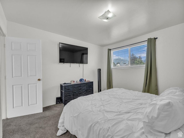 856 N 600 E, Lehi, UT 84043 - photo 15