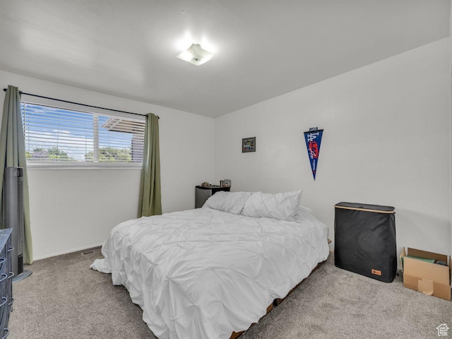 856 N 600 E, Lehi, UT 84043 - photo 13