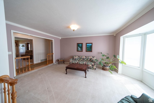 1416 W Valley View Dr, Wellington, UT 84542 - carpeted living room with ornamental molding
