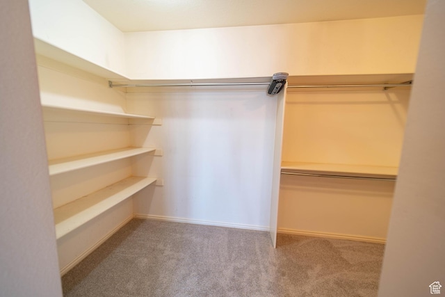1416 W Valley View Dr, Wellington, UT 84542 - walk in closet with carpet flooring