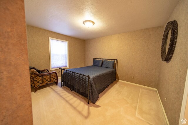 1416 W Valley View Dr, Wellington, UT 84542 - bedroom with carpet floors and a textured ceiling