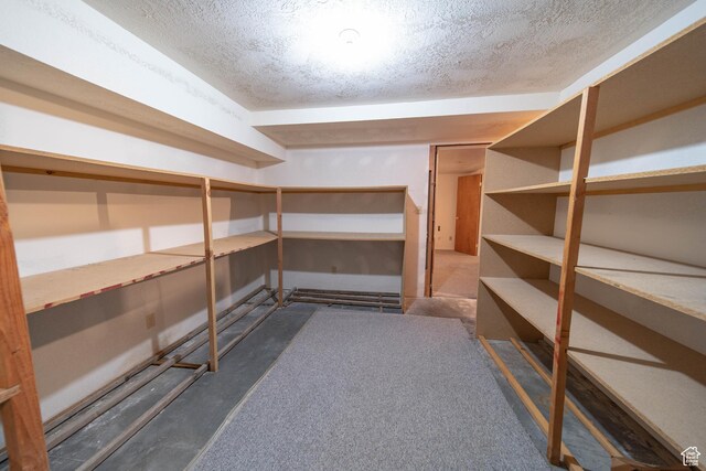 1416 W Valley View Dr, Wellington, UT 84542 - view of storage room