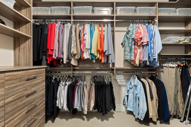 1706 E Murray Holladay Rd S Unit 204, Holladay, UT 84117 - view of spacious closet