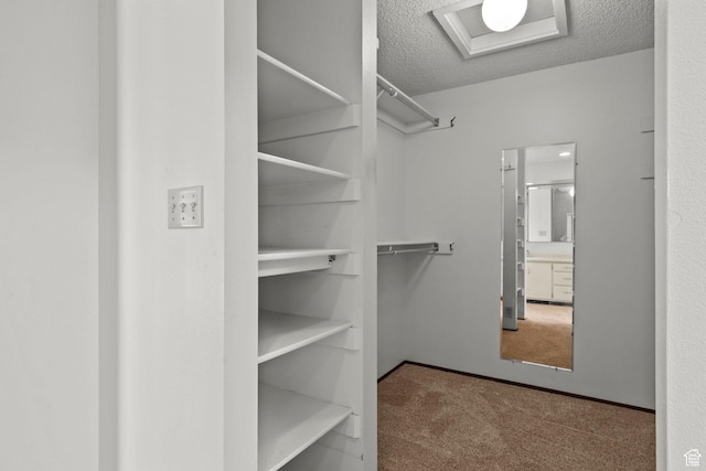 771 E 17th Ave, Salt Lake City, UT 84103 - walk in closet featuring carpet floors