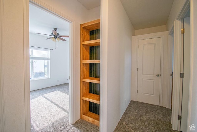 305 S Sheridan St, Stockton, UT 84071 - hallway featuring carpet