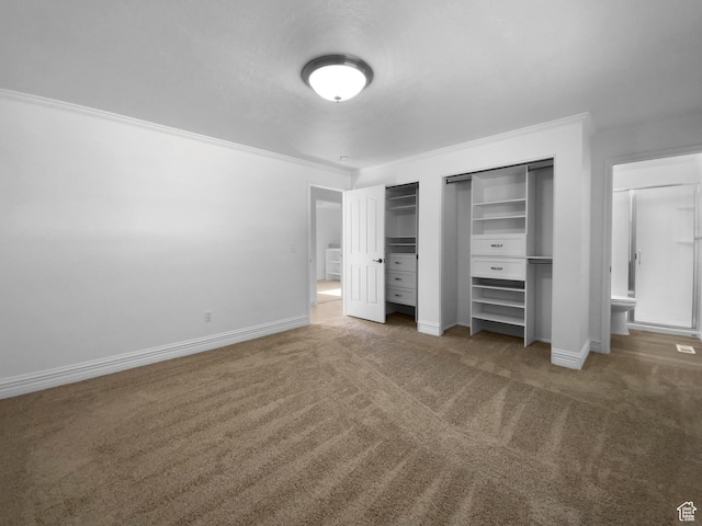 1175 N 1100 W, West Bountiful, UT 84087 - unfurnished bedroom with crown molding, carpet flooring, and two closets