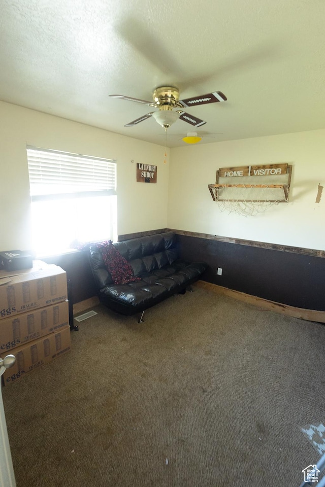 2673 S 2400 W, Weston, ID 83286 - living room featuring carpet, a ceiling fan, and a textured ceiling