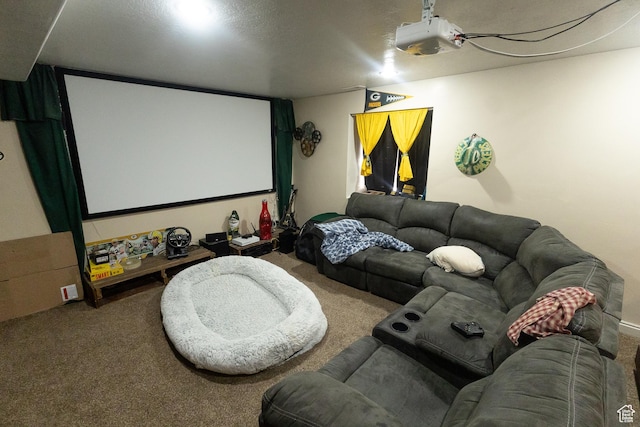 2673 S 2400 W, Weston, ID 83286 - cinema featuring carpet floors