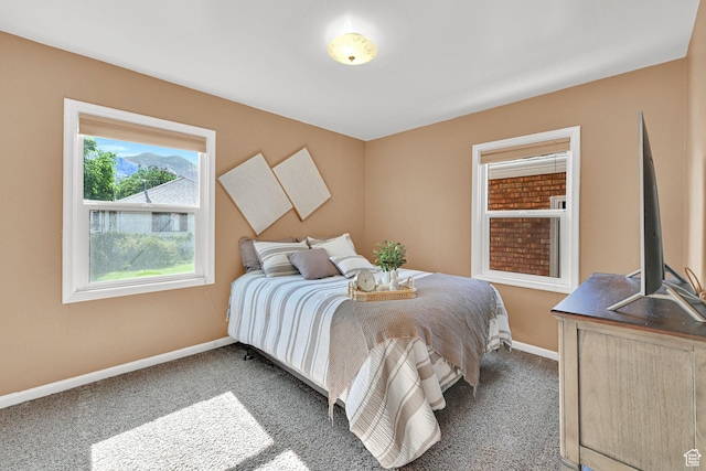 506 N 100 E, Brigham City, UT 84302 - bedroom with carpet and baseboards