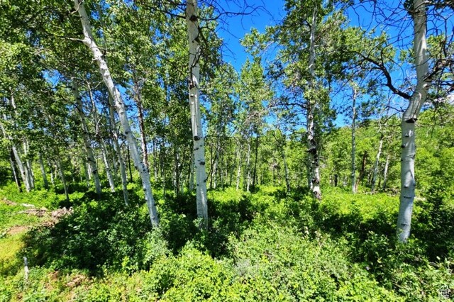 Middle Fork Rd, Huntsville, UT 84317