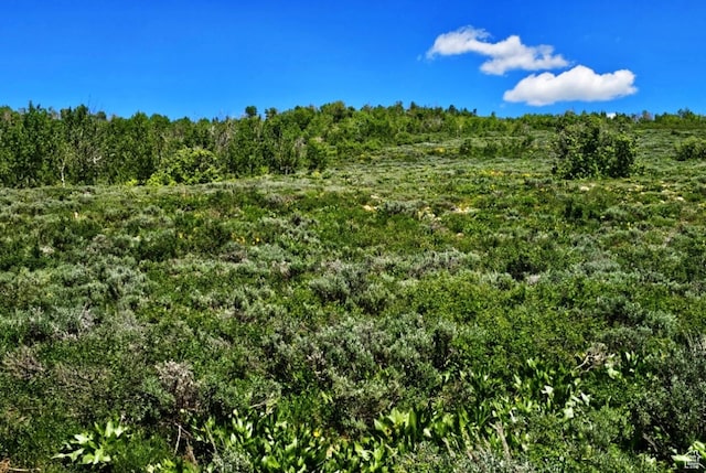 Middle Fork Rd, Huntsville, UT 84317