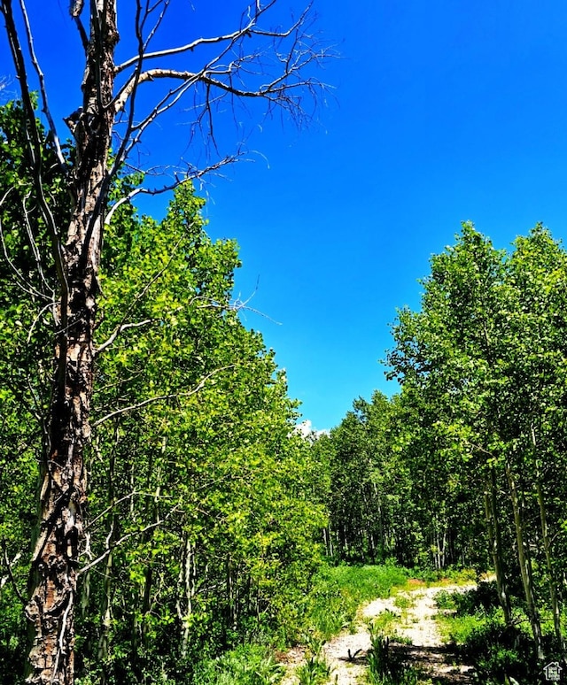 Middle Fork Rd, Huntsville, UT 84317