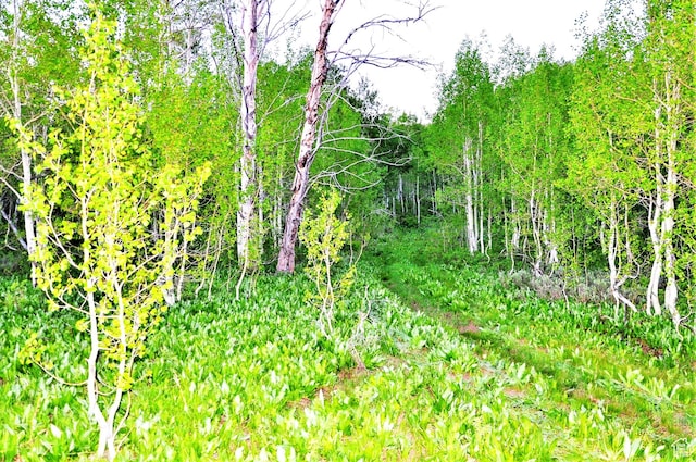 Middle Fork Rd, Huntsville, UT 84317
