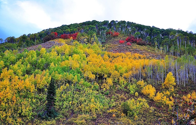 Middle Fork Rd, Huntsville, UT 84317