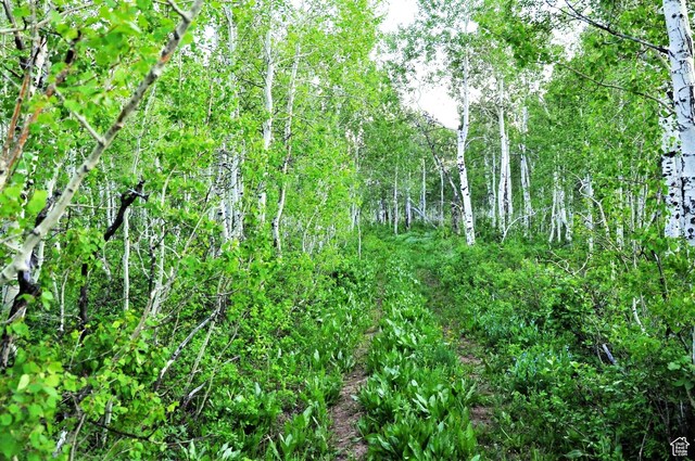 Middle Fork Rd, Huntsville, UT 84317