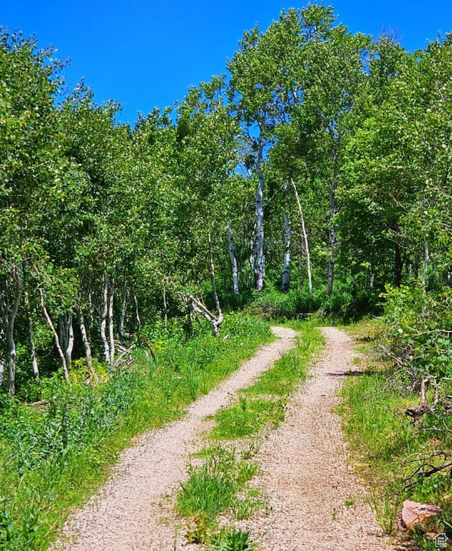Middle Fork Rd, Huntsville, UT 84317