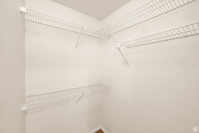 8728 S Black Diamond Cv W, West Jordan, UT 84081 - view of walk in closet