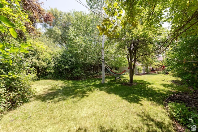 1021 E 800 S, Salt Lake City, UT 84102 - view of green lawn