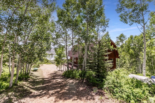 1922 N Corral Rd Unit 10, Scofield, UT 84526 - view of dirt / gravel driveway