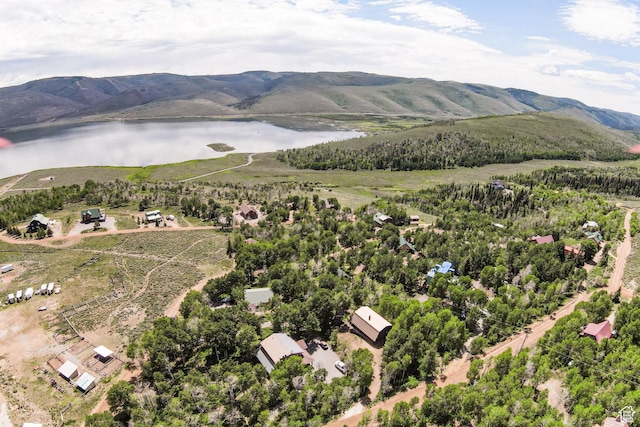1922 N Corral Rd Unit 10, Scofield, UT 84526 - bird's eye view of a water and mountain view